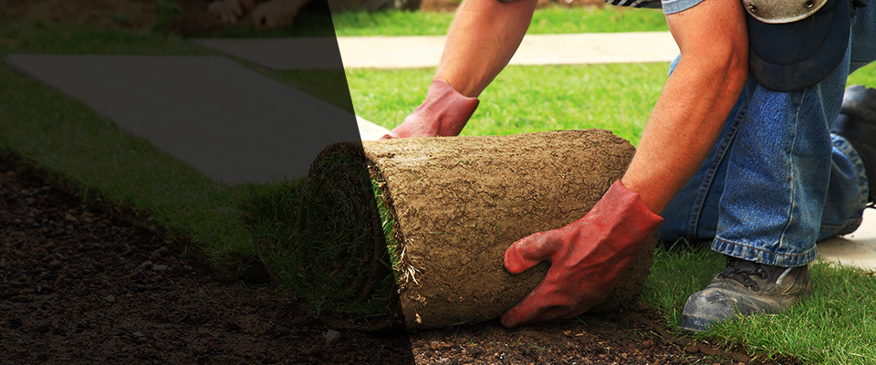 Ragland Landscapers